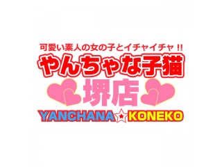やんちゃな子猫　堺店