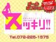 スッキリ!!堺東店（堺／堺東ホテヘル）
