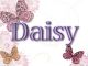 Ｄａｉｓｙ（日本橋ホテヘル）
