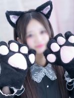 せらさん(やんちゃな子猫日本橋本店)のプロフィール画像