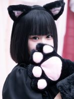【猫の日】かいりちゃん★さん(やんちゃな子猫 梅田兎我野店)のプロフィール画像