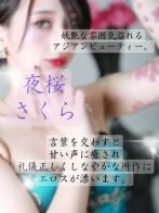 夜桜/さくらさん(ギャルズネットワーク大阪店)のプロフィール画像