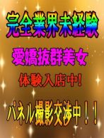 きょうかさん(激安奴隷コレクション)のプロフィール画像