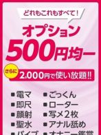 全オプション500円さん(宮崎ちゃんこ 都城店)のプロフィール画像
