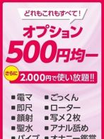 オプション500円均一