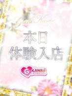 おとはさん(G-KAWAII(ガチカワイイ))のプロフィール画像